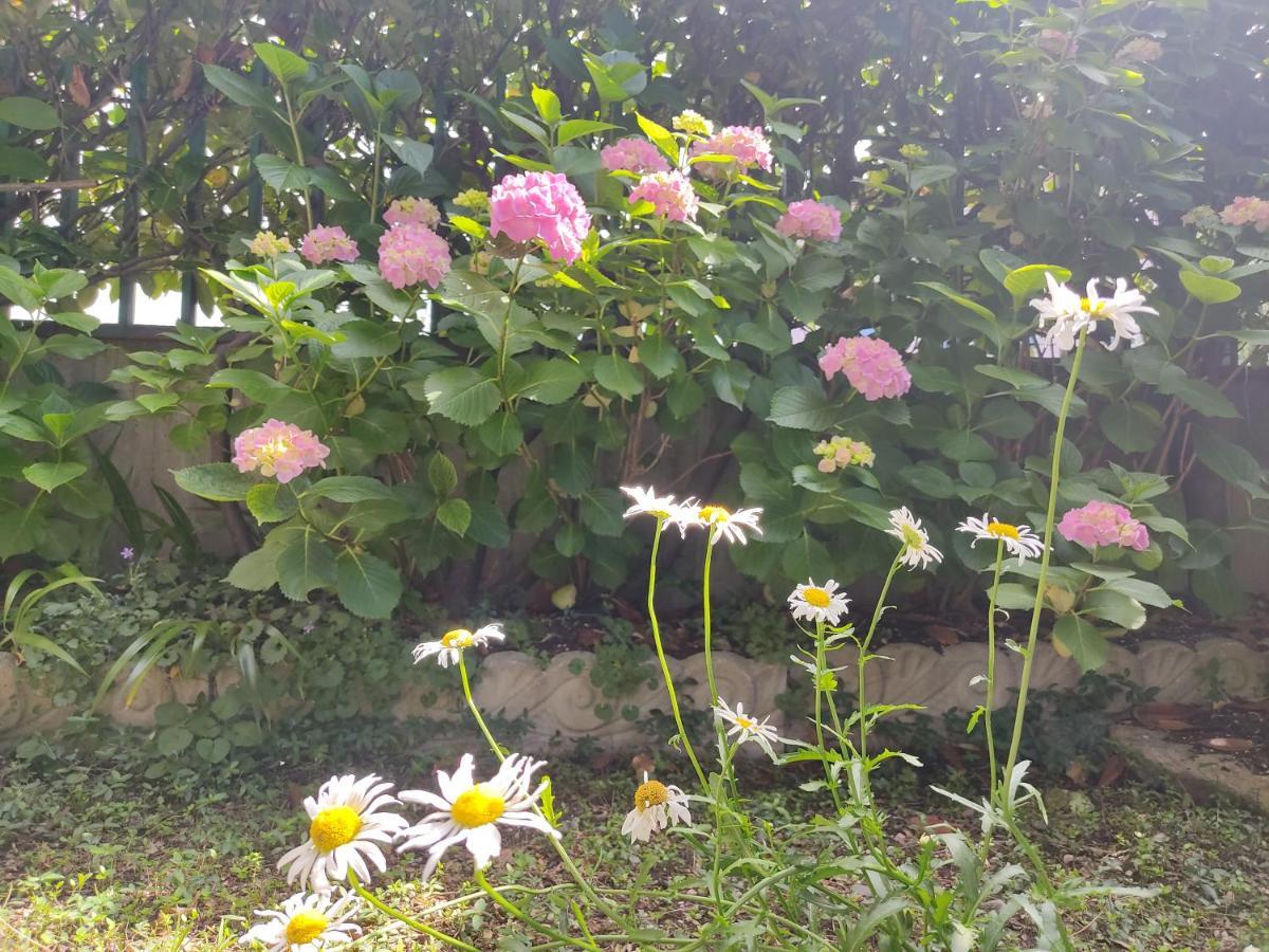 이세오 Da Ramona 아파트 외부 사진
